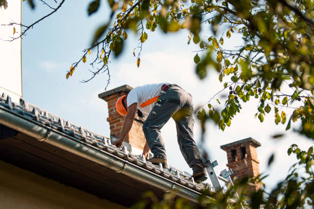 Best Roof Gutter Cleaning  in Nett, MO